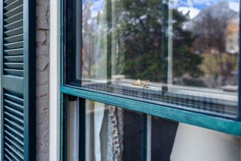 3rd-street-exterior-window-frame